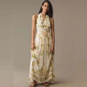 Anthropologie FARM Rio V-Neck Chiffon Floral Maxi Dress NWT